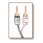 Banana Terminal cables